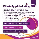 7.webp