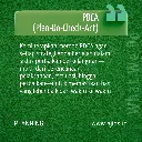 12.webp