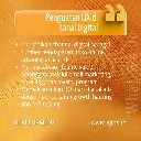 8.webp