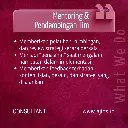 8.webp