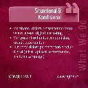 11.webp